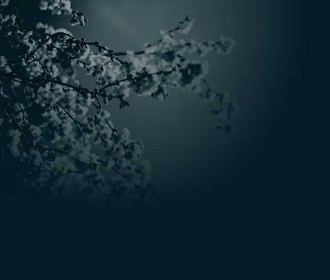 fonds printemps